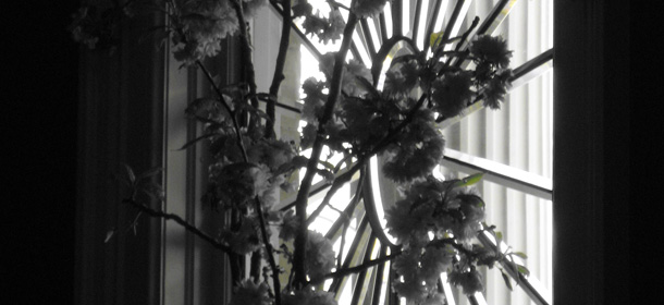 Mansions at Judges' Hill